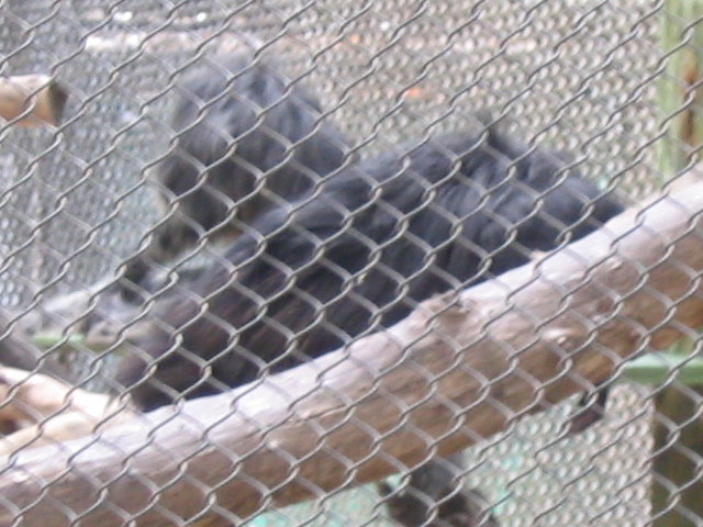 618x457 pixels (188K)